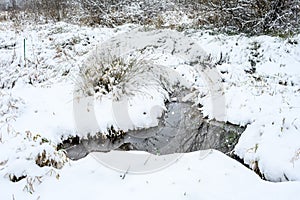 Protected wetland, with flooding, reeds, grasses, and bushed covered in fresh snow