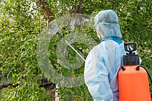 Protecting apple trees from fungal disease or vermin with pressure sprayer photo
