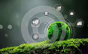 Protecting globe of green tree on nature background, ecology and environment. Green earth ESG icon for Environment Social and