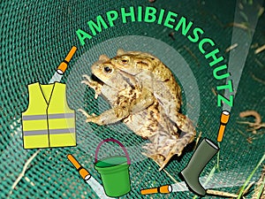 Protection of amphibians