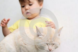 Protection of animals from cruel treatment of kids