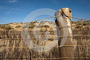 Protection fence on a Donana beach photo