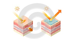 protection and penetrate uv rays from sun into epidermis of skin cross-section of human skin layers structure skincare photo