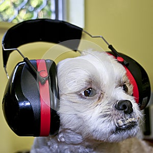 Protective Ear Muffs