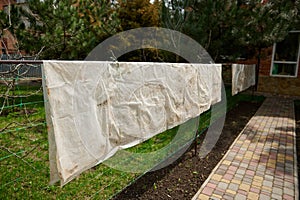 Protective film for a greenhouse, for protecting growing herbs greens from cold wind, hanging on the country house fence