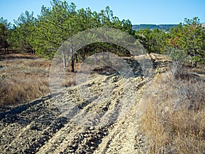 Protective fire strip in the forest, Crimean landscape