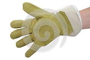 Protective Glove
