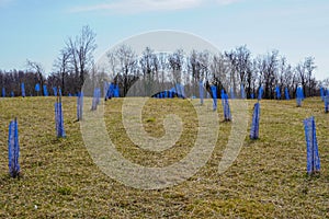 Protective net for fruit trees from wild animals