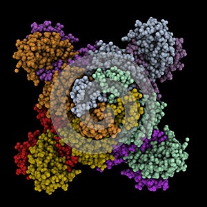 Protein complex