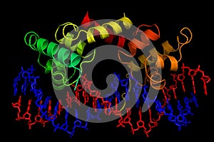 Proteína a molécula estructura 