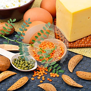 Protein food, eggs, almonds, lentils, cheese, walnut, and curd
