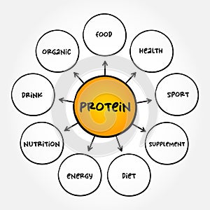 Protein are large biomolecule and macromolecule that comprise one or more long chains of amino acid residues, mind map concept photo