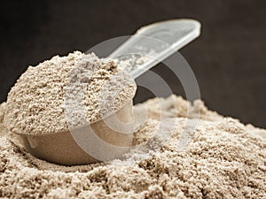 protein powder for diet photo