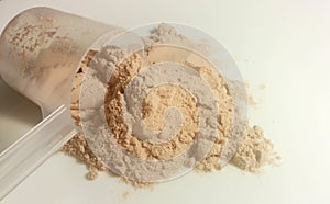 PRotein powder on plate