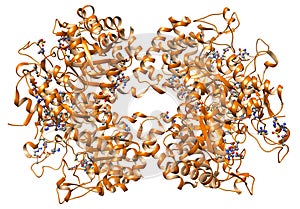 Proteína estructura 