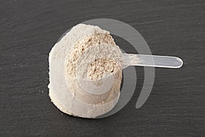 Protein Whey Powder