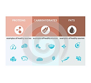 proteins fats carbohydrates photo