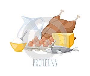 Proteins food vector illustration. photo
