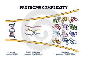 Proteome complexity as cellular complex microcosm division outline diagram