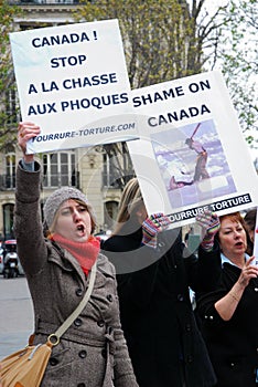 Protests against Canadian seal hunt