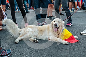 Protests in Bucharest Romania against the corrupt government - August / 11 / 2018