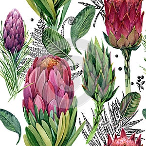 Proteus flower Illustration.