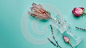 Proteus flower and rose with a glass on a turquoise background