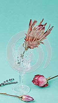 Proteus flower and rose with a glass on a turquoise background