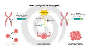 Proto Oncogenes vs Oncogene vector illustration diagram