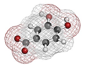 Protocatechuic acid PCA green tea antioxidant molecule. 3D rendering. Atoms are represented as spheres with conventional color.