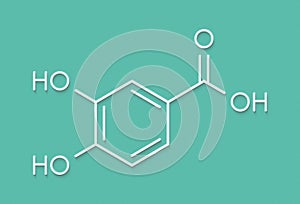 Protocatechuic acid PCA green tea antioxidant molecule. Skeletal formula.