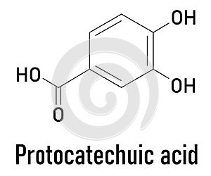 Protocatechuic acid PCA green tea antioxidant molecule. Skeletal formula.