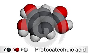 Protocatechuic acid, PCA molecule. It is 3,4-dihydroxybenzoic, phenolic acid, metabolite of antioxidant polyphenols, catechol, is