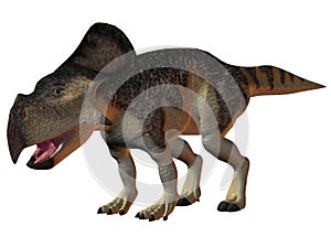 Protoceratops