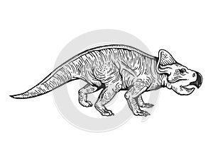 Protoceratops dinosaur engraving vector