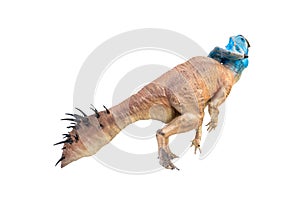 Protoceratops  , dinosaur on  isolated background