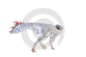 Protoceratops  , dinosaur on  isolated background