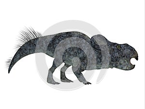 Protoceratops Dinosaur Side Profile