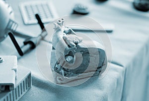 Prototype human heart section printed 3D printer object created on a 3D printer