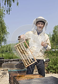 Protrait of a man beekeeper