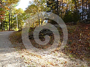 Protruding rock with dead leaves