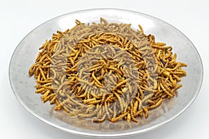 Protyn arowana fish food, dried black soilder fry larvae