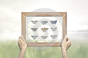 Proud collector shows his special collection of butterflies