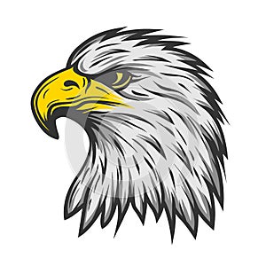 Proud eagle head. Color version.