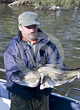 Proud fisherman with large cod