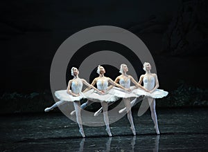 Proud of the four little swan dance-ballet Swan Lake