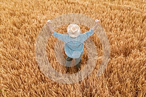 Proud happy victorious barley farmer with hands raised in V