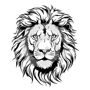 Proud lion face sketch in heraldic style. hand drawn Vector