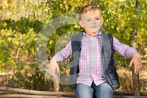 Proud little boy sitting on a wooden fence