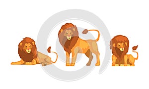 Proud Powerful Lion Character as King of Animal with Brown Mane Vector Set